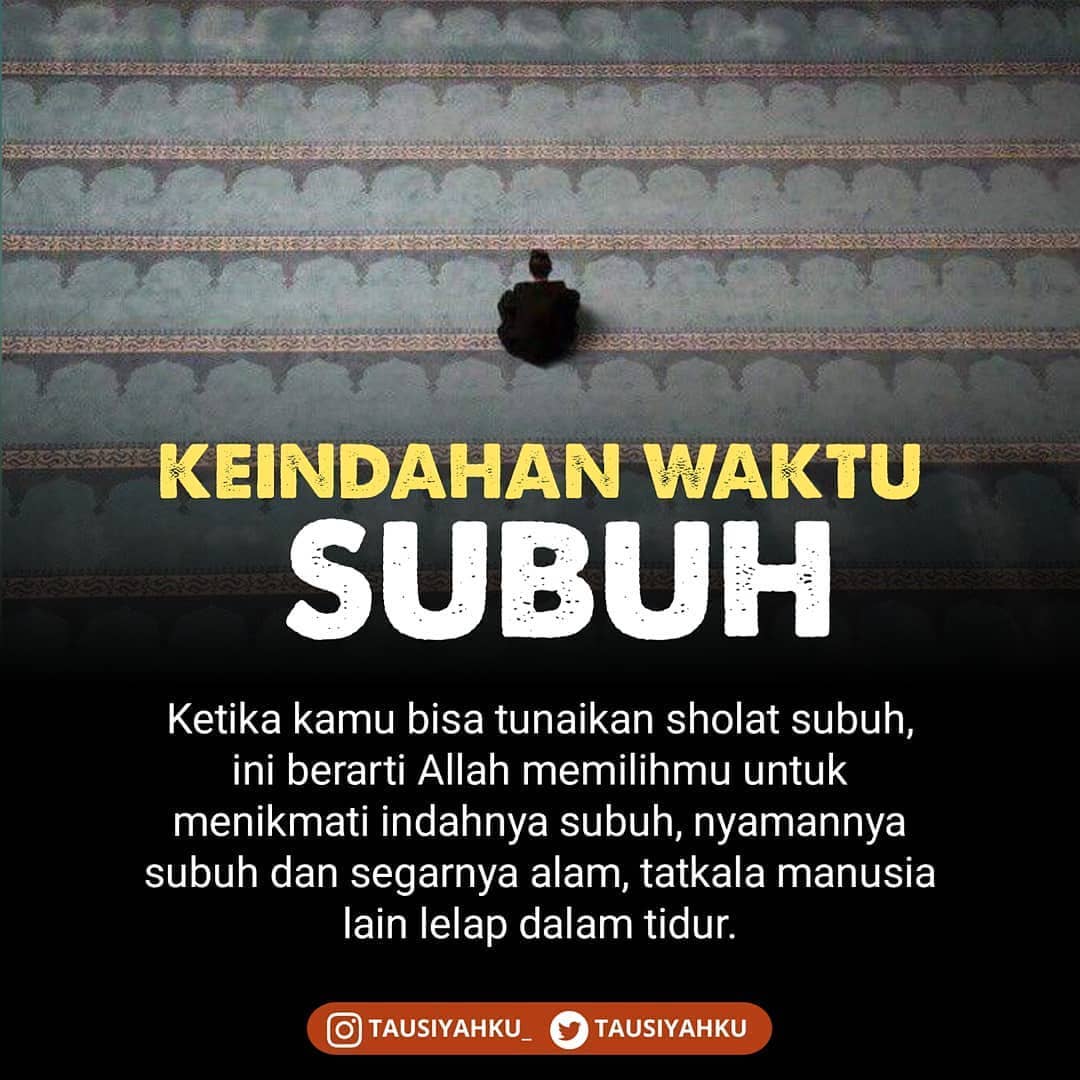Tausiyahku tweet picture