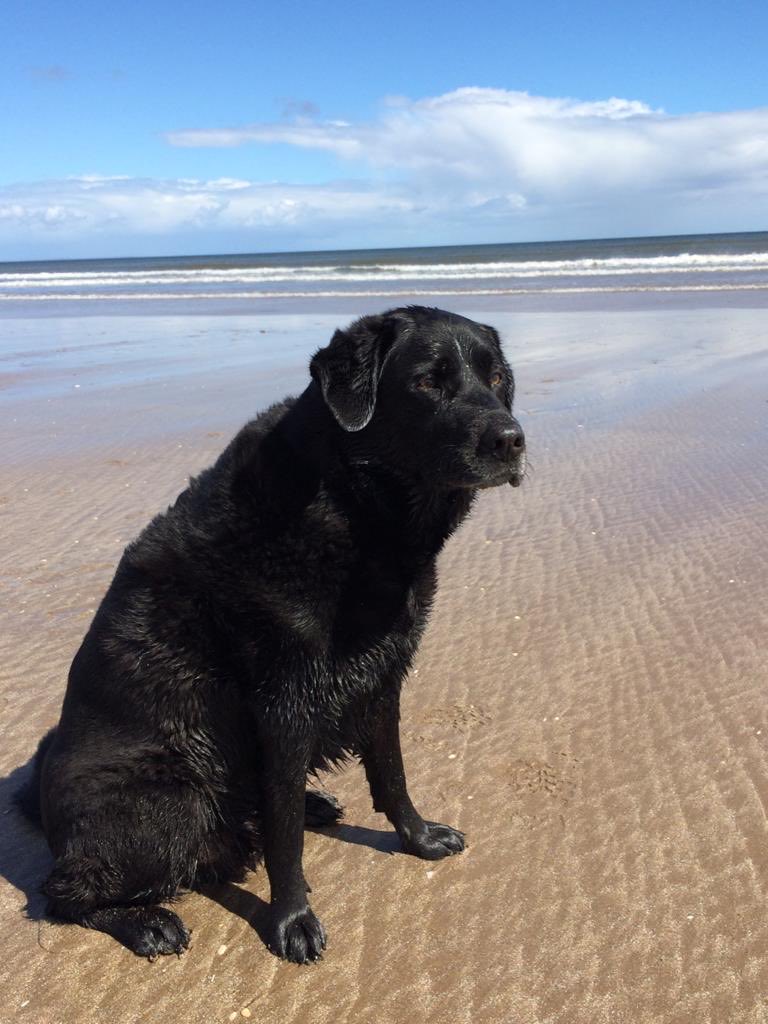 Lynda Big Coat 🧥🦡🐾🌵🛼 tweet media