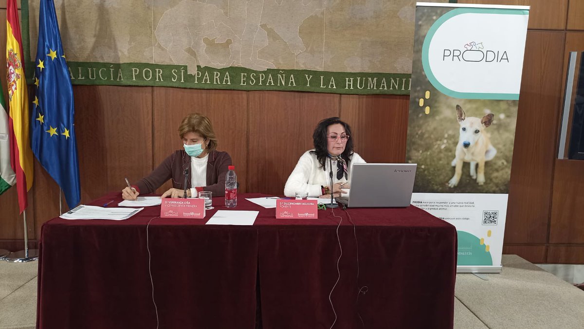 esperanzaona's tweet photo. Primeras Jornadas organizadas por @ProdiaConecta en el parlamento Andaluz. Con ocho ponentes de gran nivel hemos analizado el abandono animal y la crueldad que eso implica. Doy las gracias a todos. https://t.co/P9fDpiAFkt