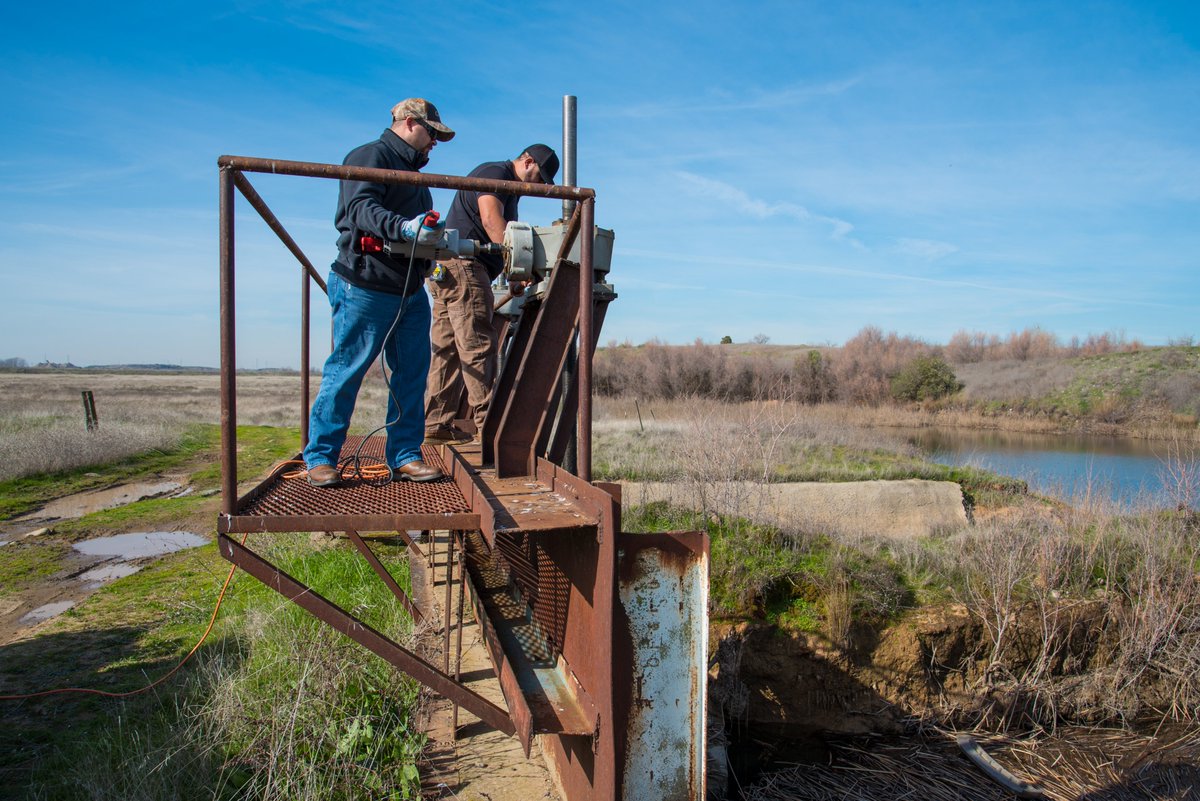 YubaWater's tweet image. Happy #NationalAgDay! #DYK we supply water to eight irrigation districts, which convey that water to approximately 60,000 acres of productive @YubaCounty farmland?

Read more about our agricultural partners: bit.ly/yubawater-h2os…