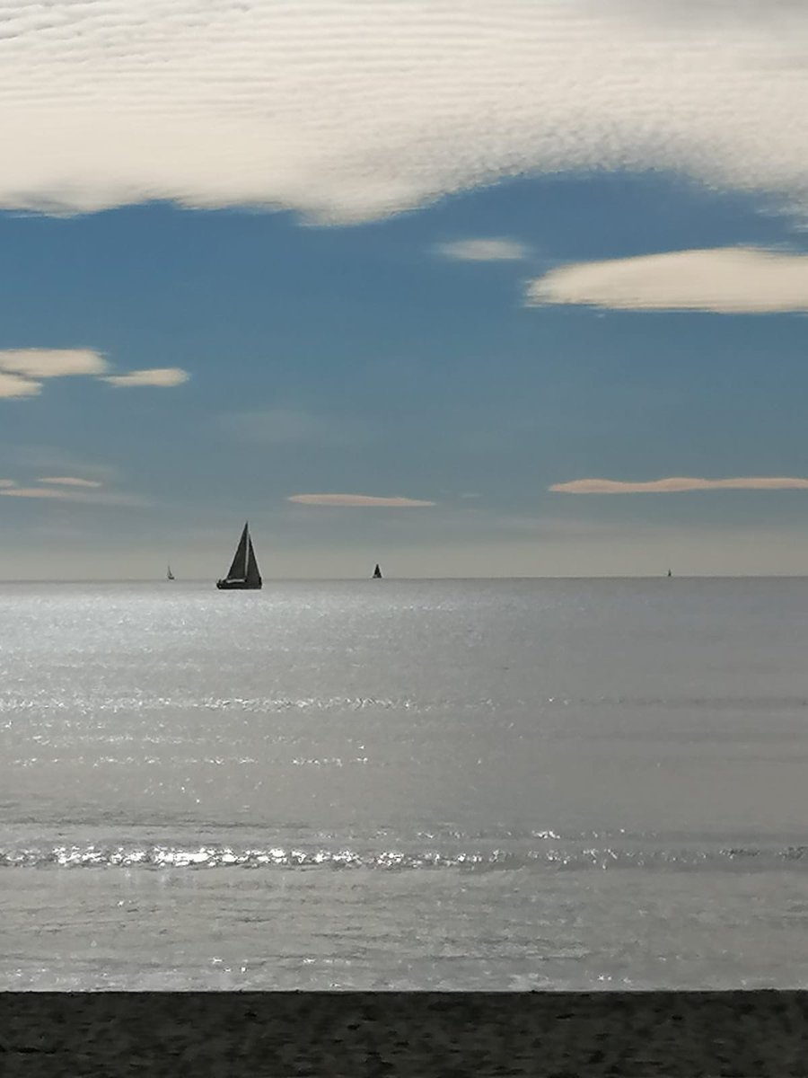 TFASaveOne's tweet image. Have you decided to have a chemical abortion and then changed your mind?  There is still hope of saving this baby! If you have taken the first dose of the abortion pill, but not the second, contact reverseabortionpill.com or call 1-877-558-0333 immediately for help.