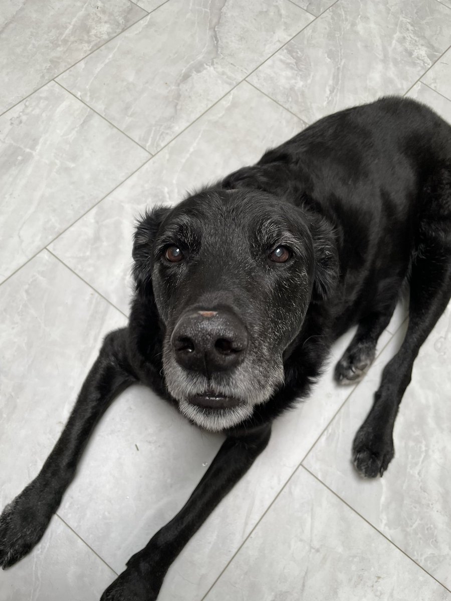 Grace Chamberlain tweet media