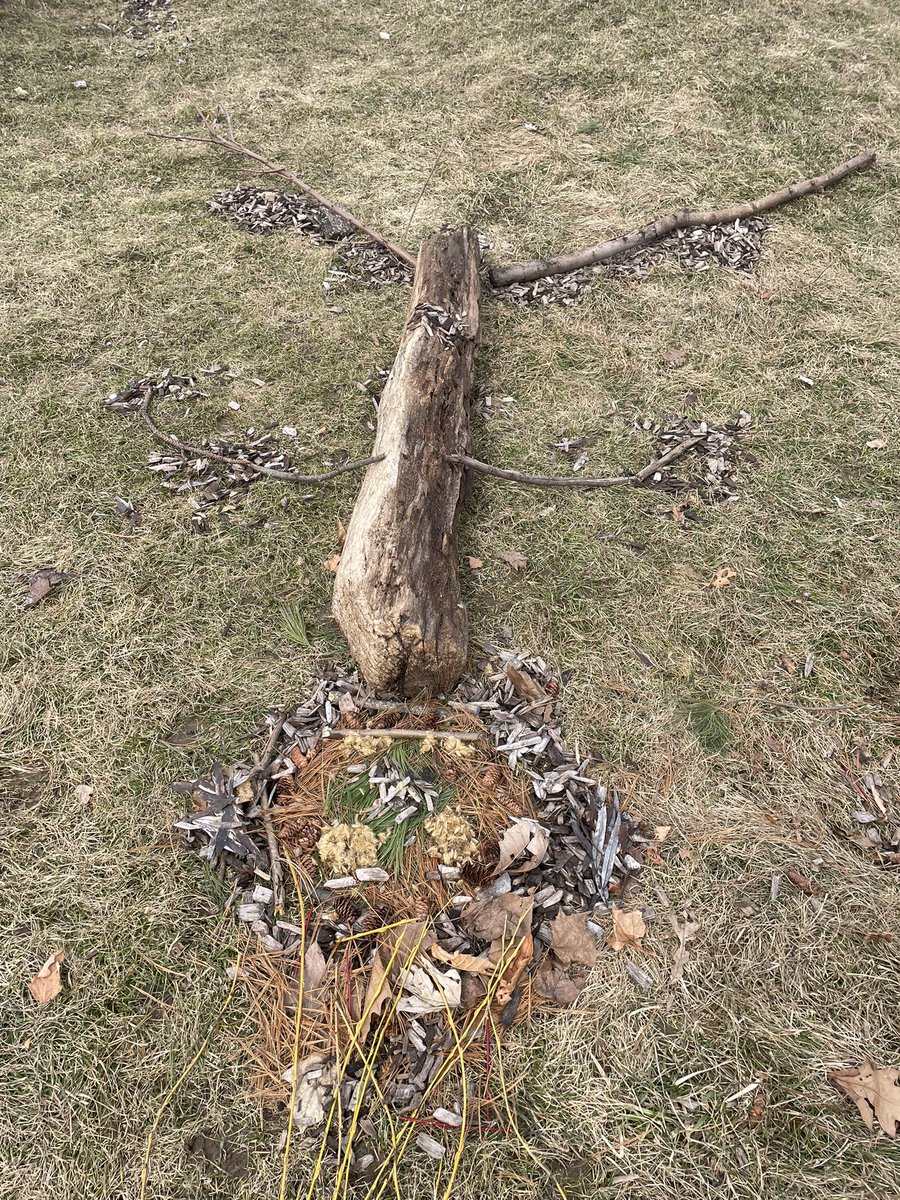 Student examples of Ephemeral/Land Art #gatorpride