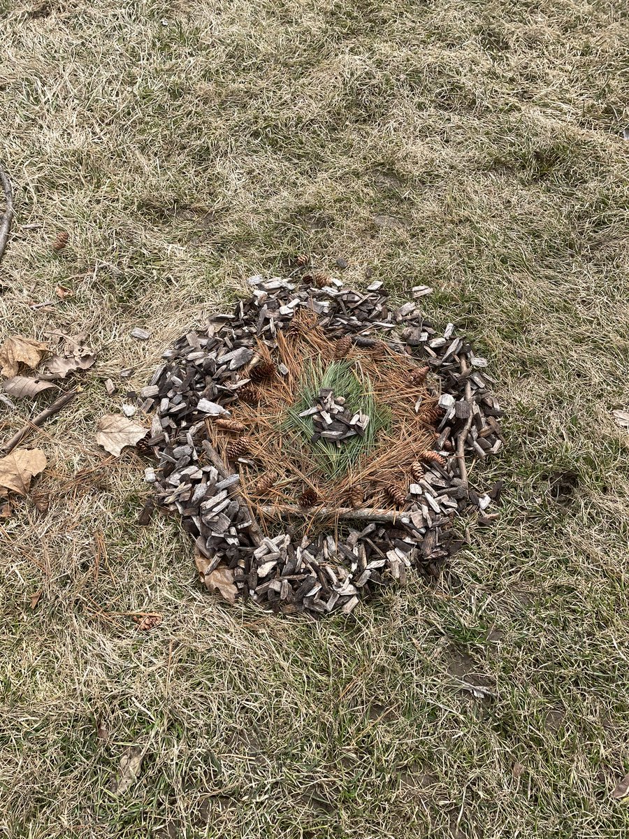 More student examples of Ephemeral/Land Art
