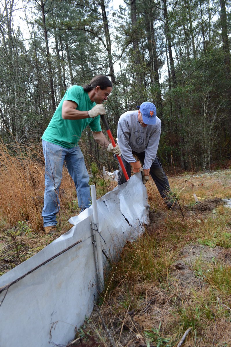 UGASREL's tweet photo. SREL came together and removed the mile long drift fence from Ebay on the #SRS. This fence has provided for many researchers over the years, but has not been in use for some time. As good environmental stewards, #SREL decided to remove it. #Teamwork #Ecology #Recycle #UGASREL https://t.co/1sxCZaNIyx