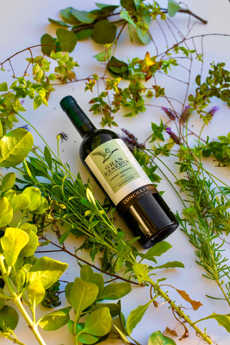 GranReservaWine's tweet photo. Spring is a wonderful reminder of how truly beautiful change can be! 🍷🌱 https://t.co/2GkT1p6f29