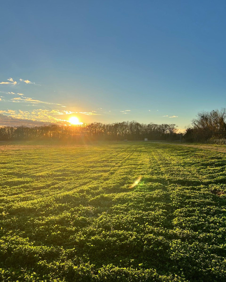 BrandyJoy_'s tweet photo. Bought 3 acres of land with my husband (although we’re eyeing the 5 acres next to us 😉) and can’t wait to start the building process with you ❤️ 

Find the car in the last picture if you can lol. That’s how far back our land goes. https://t.co/P5cyUeIsJh