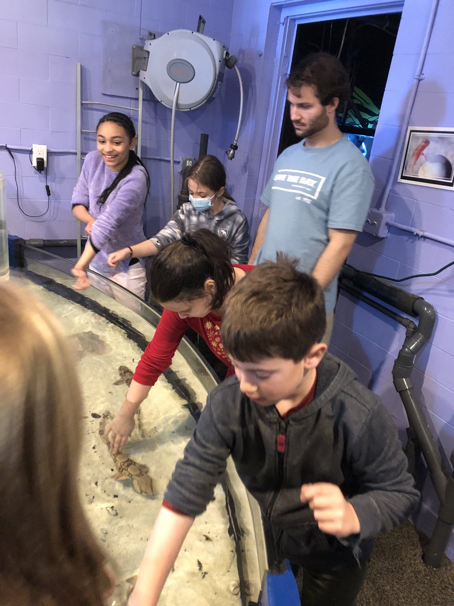 adamsonashley21's tweet photo. First field trip in two years! We had a great time! Thank you @SaveTheBayRI for an amazing time at the aquarium and on the seal watch! @HathawaySchool @Travis1713 @psd_ri https://t.co/OKww0JXxPj