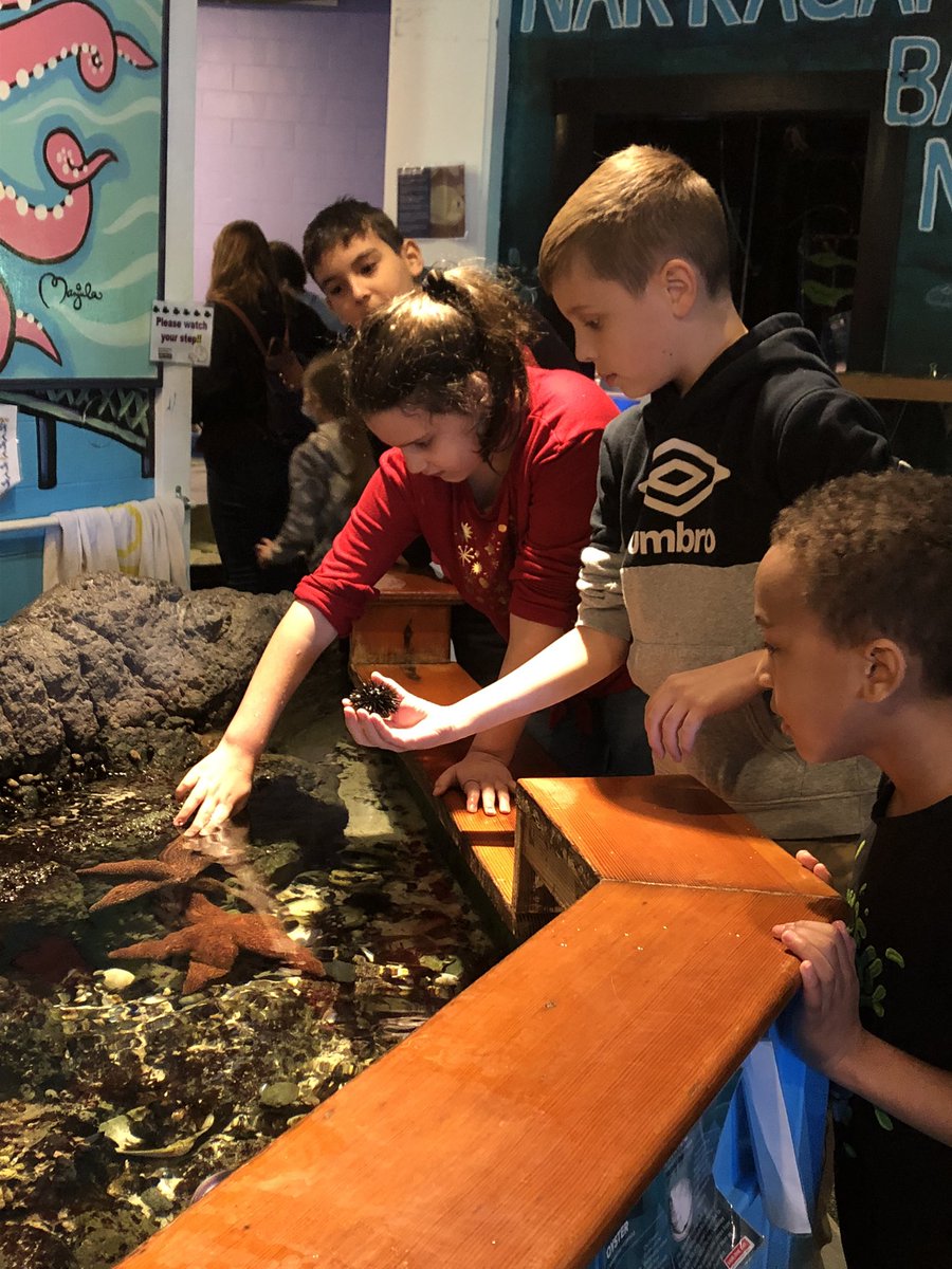 adamsonashley21's tweet photo. First field trip in two years! We had a great time! Thank you @SaveTheBayRI for an amazing time at the aquarium and on the seal watch! @HathawaySchool @Travis1713 @psd_ri https://t.co/DUmzSD4J7o