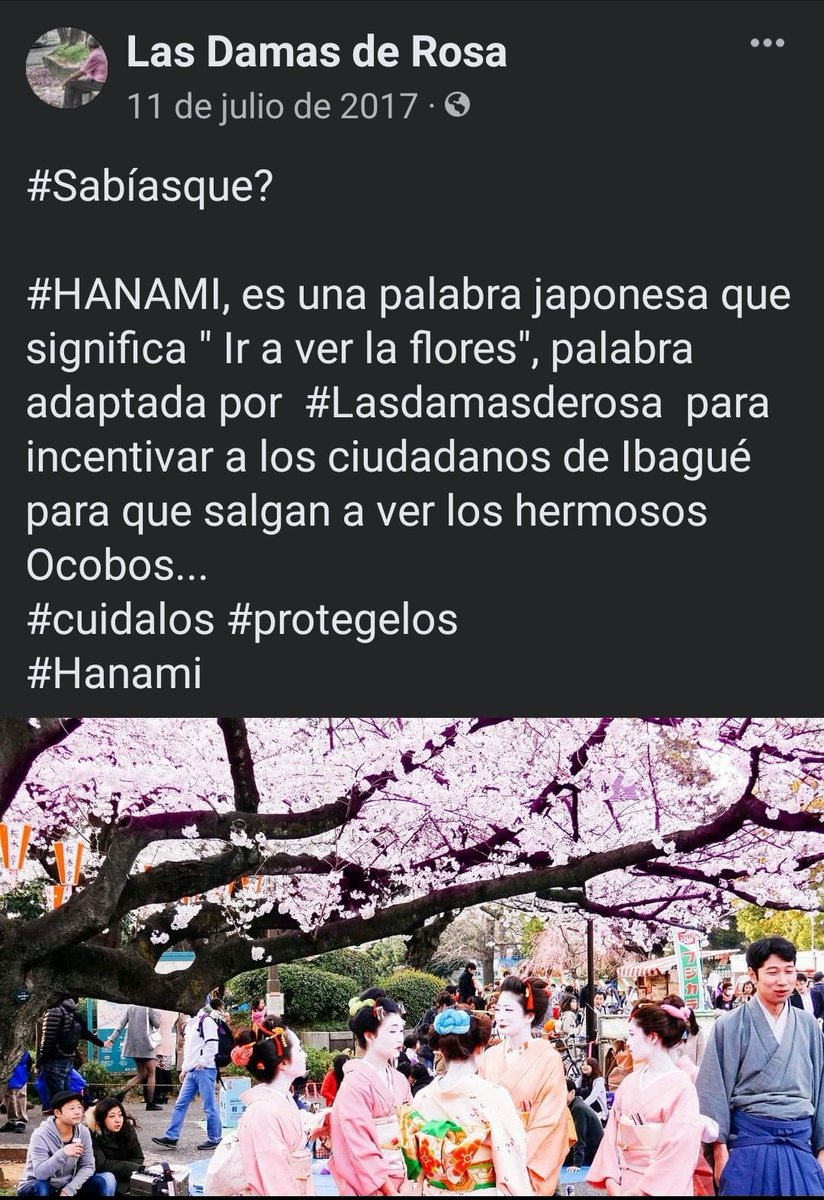 Ibague_Circular's tweet photo. @ElTortugazo https://t.co/5wQbnTXsw0