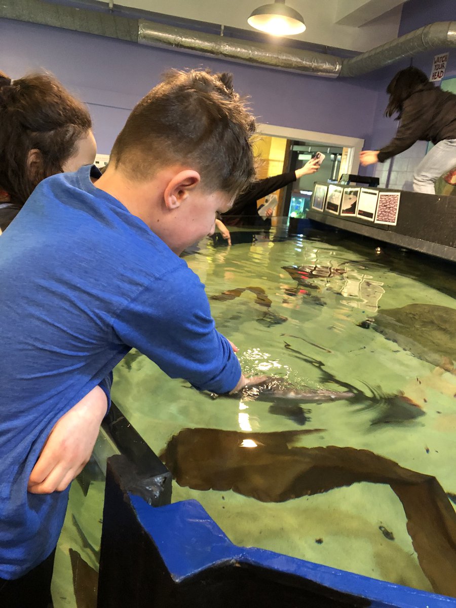 adamsonashley21's tweet photo. First field trip in two years! We had a great time! Thank you @SaveTheBayRI for an amazing time at the aquarium and on the seal watch! @HathawaySchool @Travis1713 @psd_ri https://t.co/5iJGPeMY7s