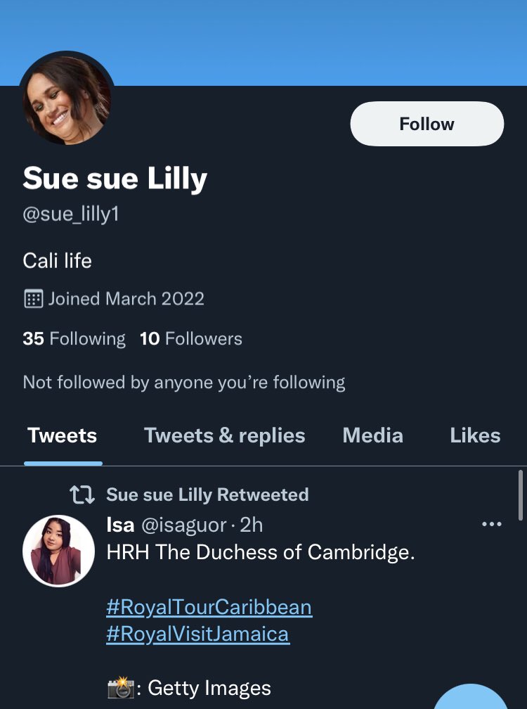 Duchess Of Success on Twitter " SussexSquad the trolls are in full