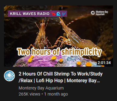 Wednesdays are for two hours of shrimplicity.