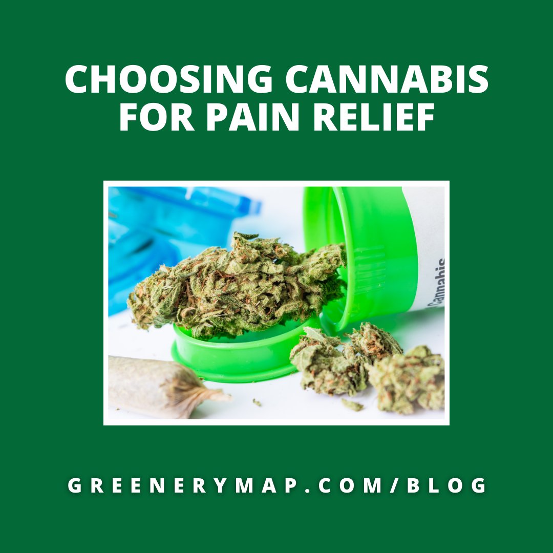 GreeneryMap's tweet image. Learn all about using cannabis for pain relief on our blog:

ow.ly/4YHb50Ie2E4