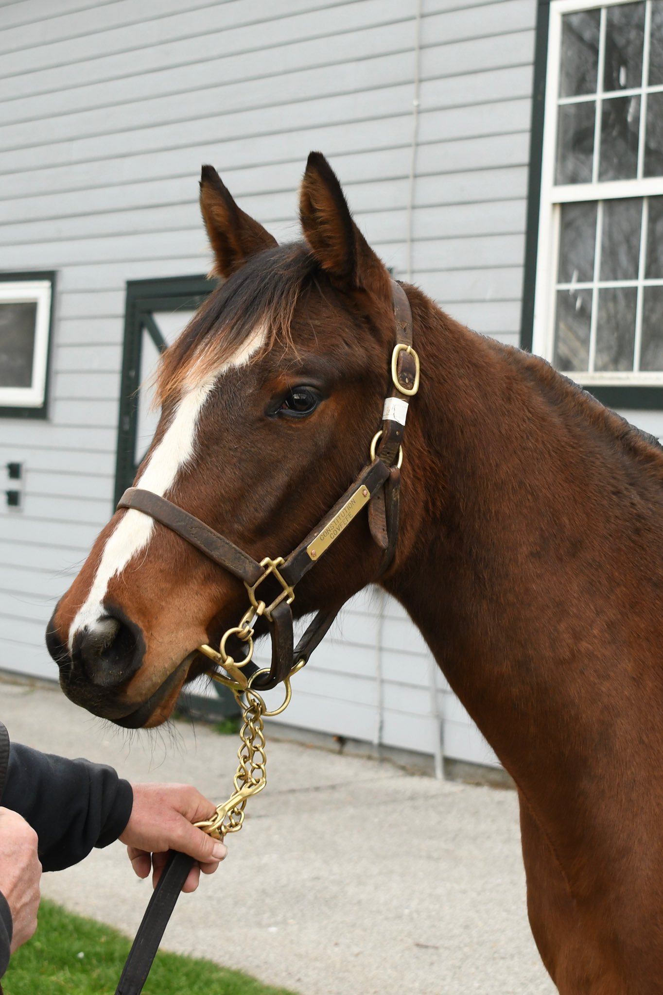 Jaime Roth on Twitter: