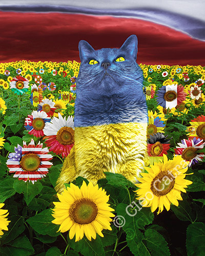 CleoCatraNFTS's tweet photo. @MantaNFT I AM THE UKRAINE https://t.co/fZc0iVBjUt