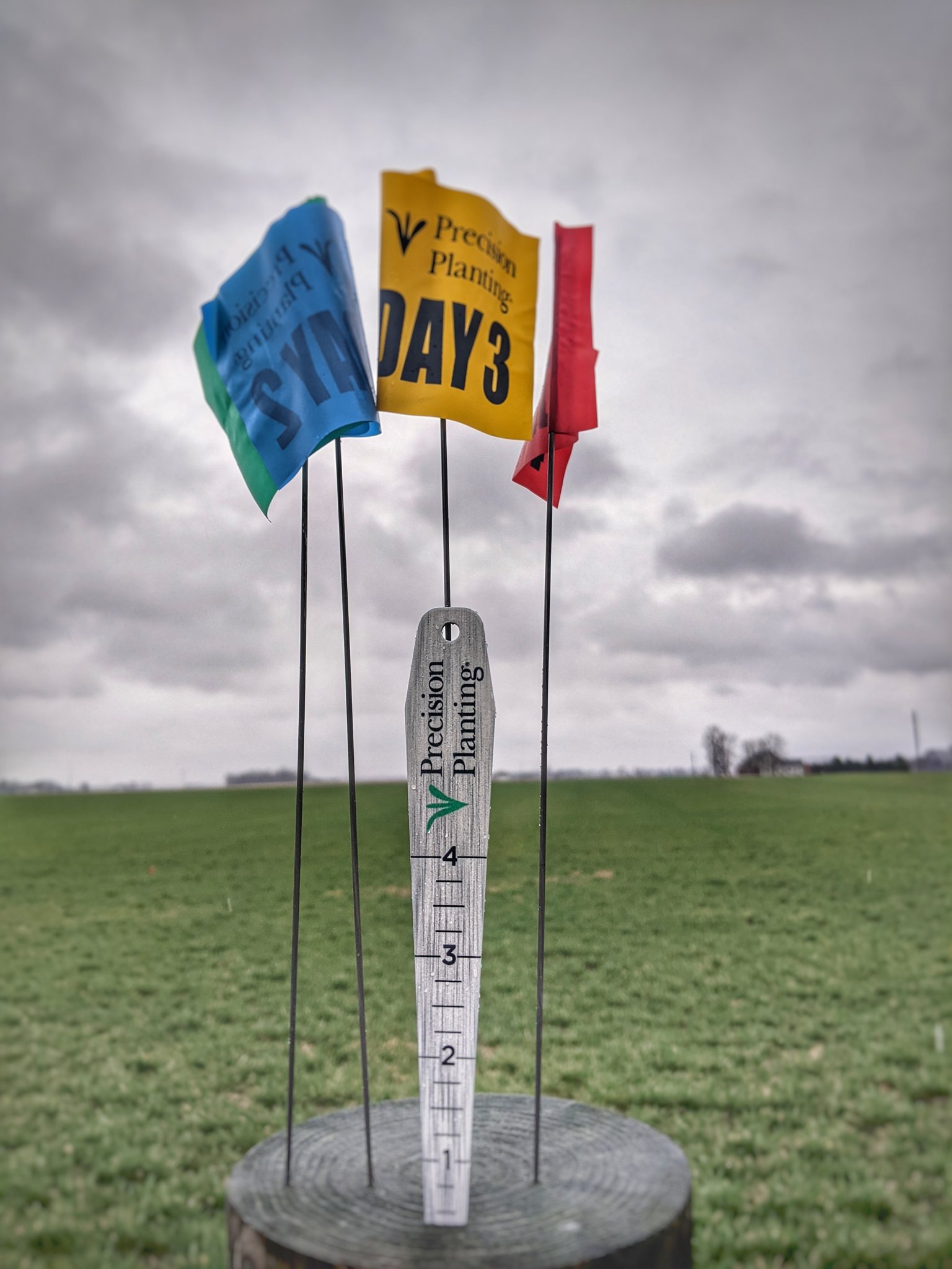 Brian Scott on Twitter "Wanna check for uniform emergence and get