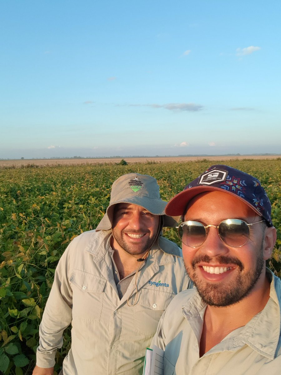 franandueza's tweet photo. Este tipo hace miles de cruzamientos por año, lo que le da decenas de miles de líneas. La opinión del usuario es muy valorada y clave dentro del proceso, pero mejoramiento.. Mejoramiento genético es otra cosa.
#breeder #seeds #soybeans https://t.co/Jrmv563P3j
