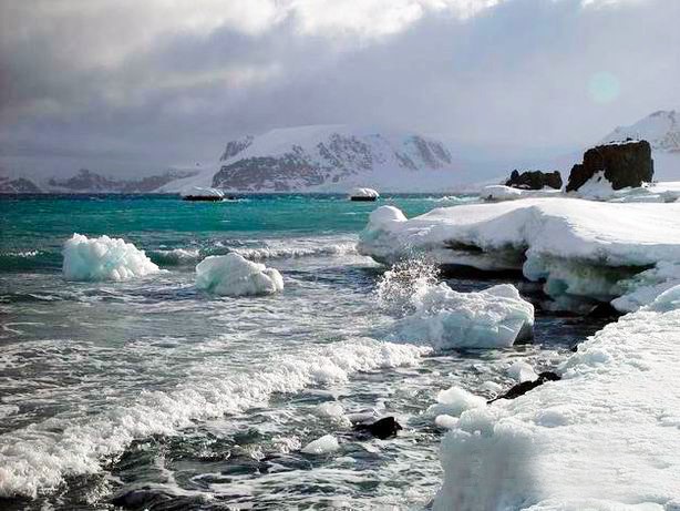 Jucac1990's tweet photo. Hey guys! passing by to show my first collection of Nfts photographs. This collection is about my Antarctica expedition. Check out the complete collection through the link.

https://t.co/wXFzcLgfpP.

#opensea #nftphotography  #nftcollector  #NFTCommunity #NFTCommmumity #nftwomen https://t.co/GUfIoGWTEF
