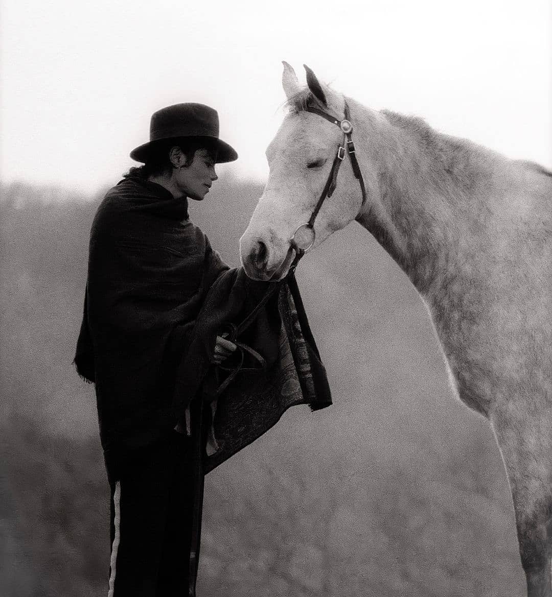 MarinaaIvanova's tweet photo. I love animals because all they really want from you is love.Too bad that's even too much to ask for from some people. - Michael Jackson https://t.co/yf31TamkGN