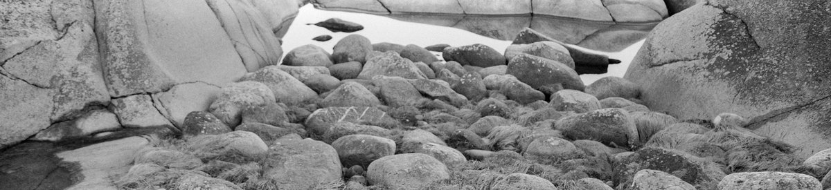 simon_diamond's tweet photo. I did mean to have the puddle slightly lower down in the frame, but it's not bad for the parallax disaster that is Lomo Belair.
(Panorama, needs a click)
Lomography Belair X 6-12
Belairgon 90mm F8
Lomo Berlin
HC-110
#ShittyCameraChallenge @ShittyChallenge #GetMono #believeinfilm https://t.co/zKYBoNOA8m