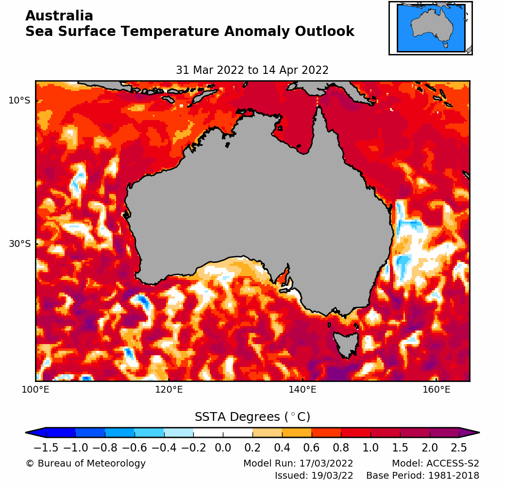 It's not just the GBR that's cooking. Current heat stress is pervasive across Australia's oceans. Some coral bleaching is already evident on Western Australian reefs and the outlook is grim.