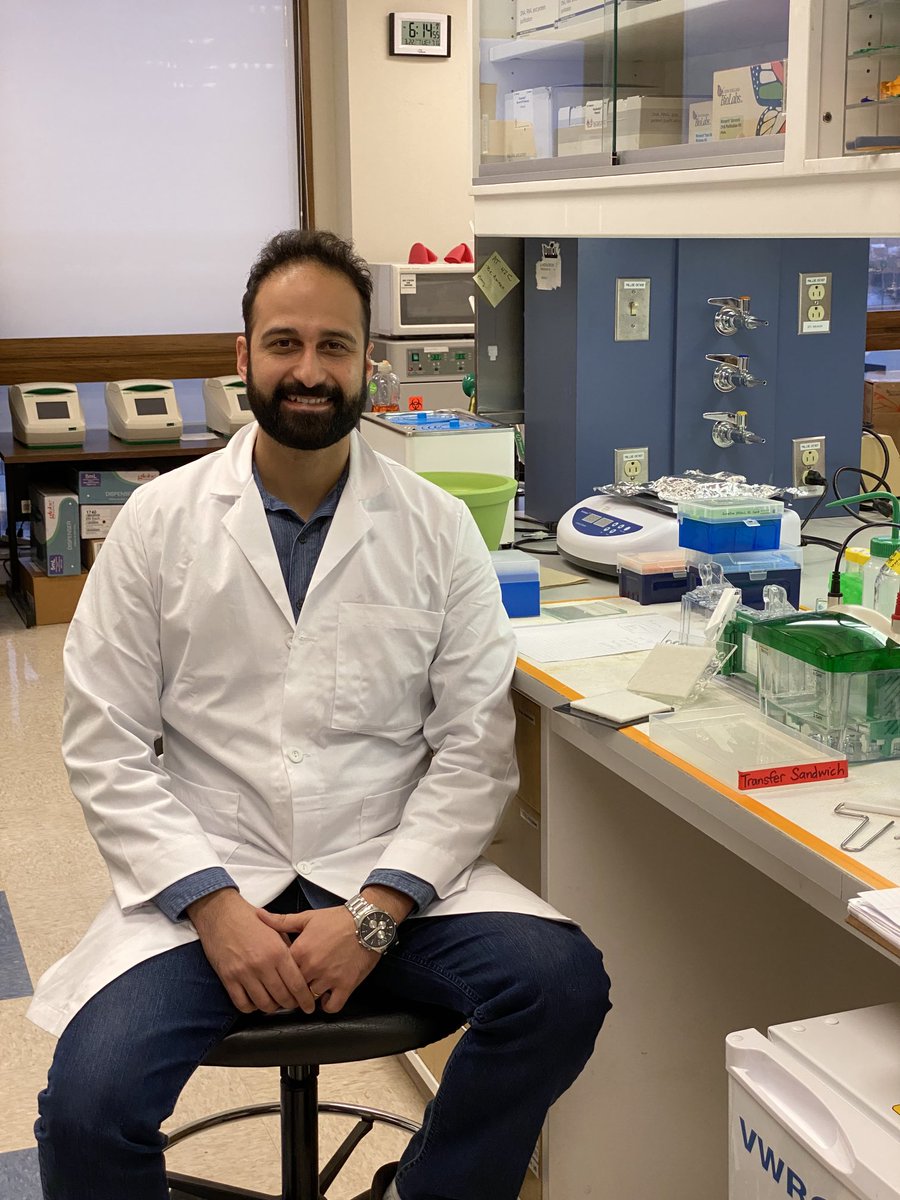 Kevin Brown (@kevinbrownlab) on Twitter photo We are thrilled to have Dr. Gabriel Cabral join our group to study PKG signaling in #Toxoplasma! <a href="/Gabriel03366621/">Gabriel Rabello de Abreu Cabral</a> We are thrilled to have Dr. Gabriel Cabral join our group to study PKG signaling in #Toxoplasma! <a href="/Gabriel03366621/">Gabriel Rabello de Abreu Cabral</a>