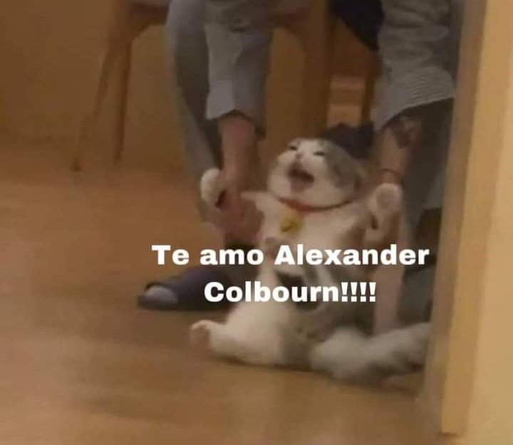 micamarini02's tweet photo. Feliz cumpleaños a mi imprudente favorito, un personaje al que amé mucho mientras lo leía y que se convirtió en uno de mis favoritos. Un personaje que me hizo reír y llorar. Que me marcó de una manera muy especial. Feliz cumpleaños Alexander Colbourn🥺💕
#AlexanderColbournDay https://t.co/Qs9J3Xd92j