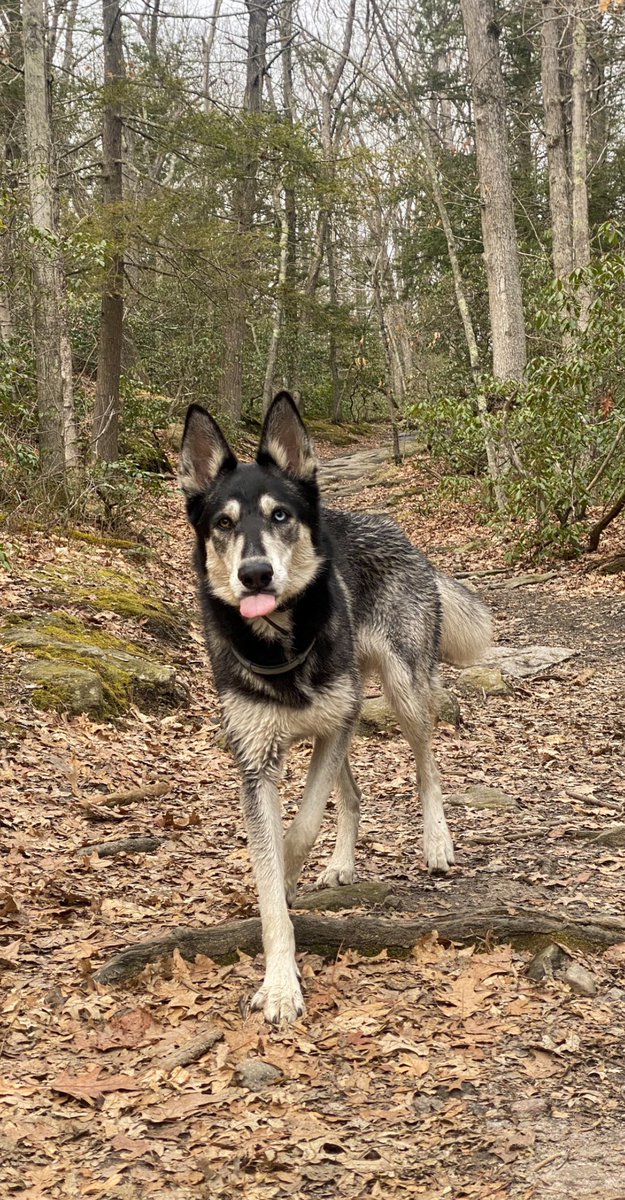 <a href="/artytheaussie/">Arty</a> I think so 🧐