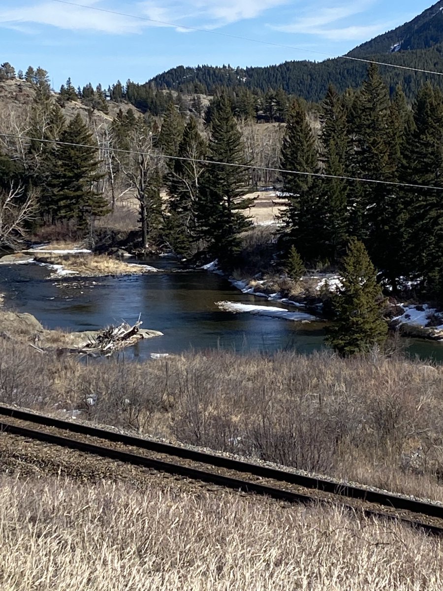 YancoRick's tweet image. The river was calling….. I had to go