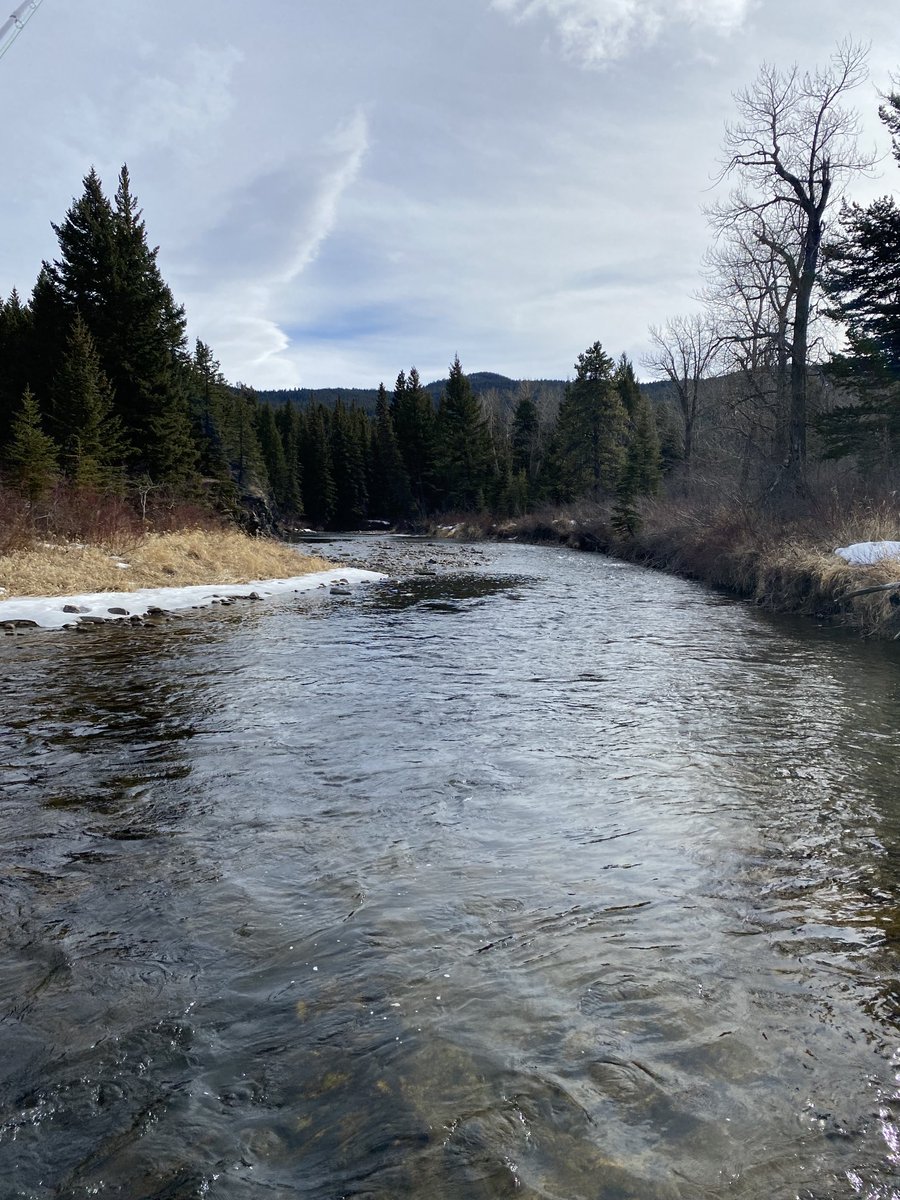 YancoRick's tweet image. The river was calling….. I had to go