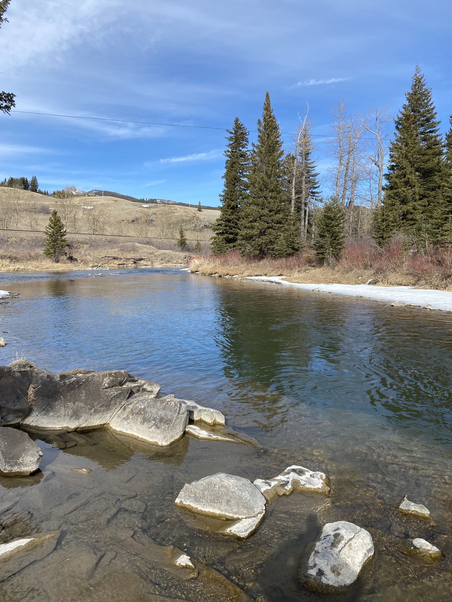 YancoRick's tweet image. The river was calling….. I had to go