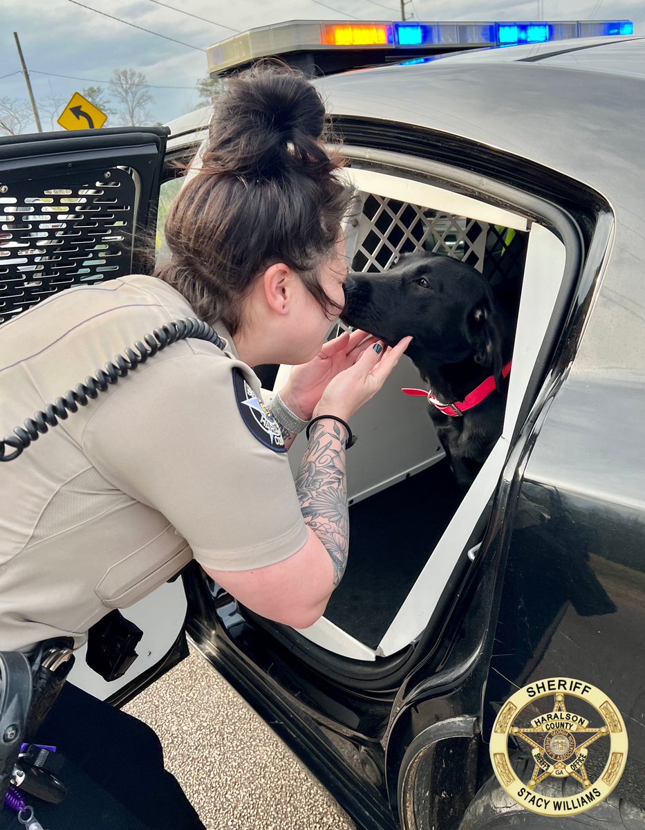 HCSO_K9Tora's tweet photo. Starting out the shift with a kiss for Mom!
#K9Tora๐พ๐
@JordanB72891269
#K9Unit #GirlPower #OnDuty #FemaleK9Unit #CrimeFightingDuo #WorkingDog #SweetGirl #Kisses #Dogs https://t.co/dtzQPUnBRP