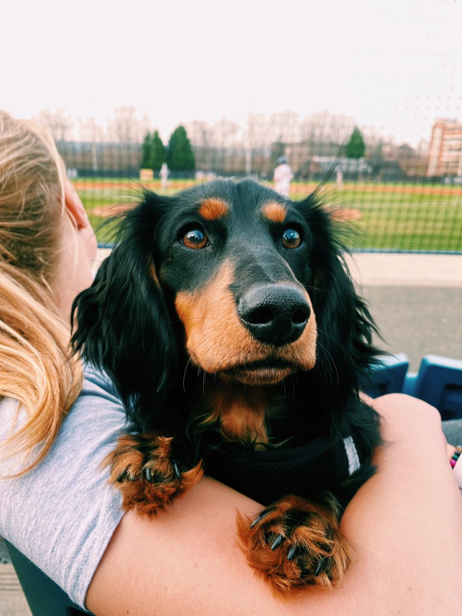 malena_romann's tweet photo. Luca loved going to watch @UNCGBaseball tonight https://t.co/Awf0afM267