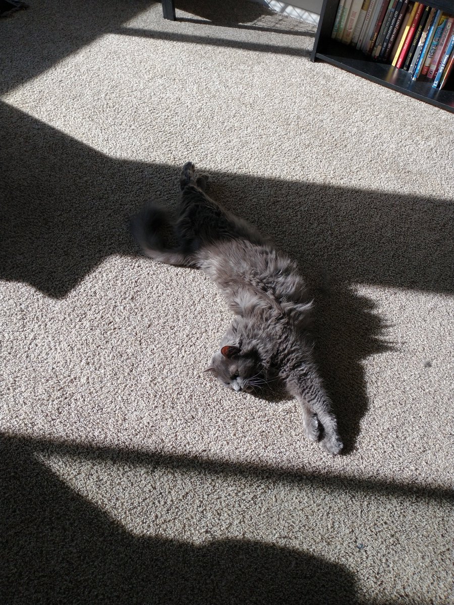 ZiggyWearsHats's tweet photo. Hari is #looooong https://t.co/NjMZADmnlX