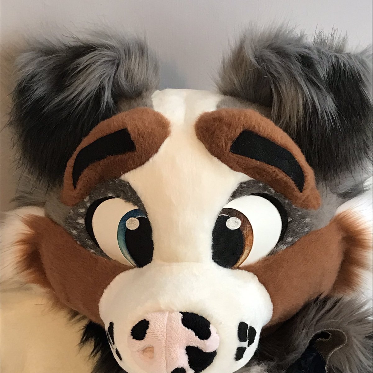 searathewolf's tweet photo. It’s almost puppy time https://t.co/3eKtgleX2p