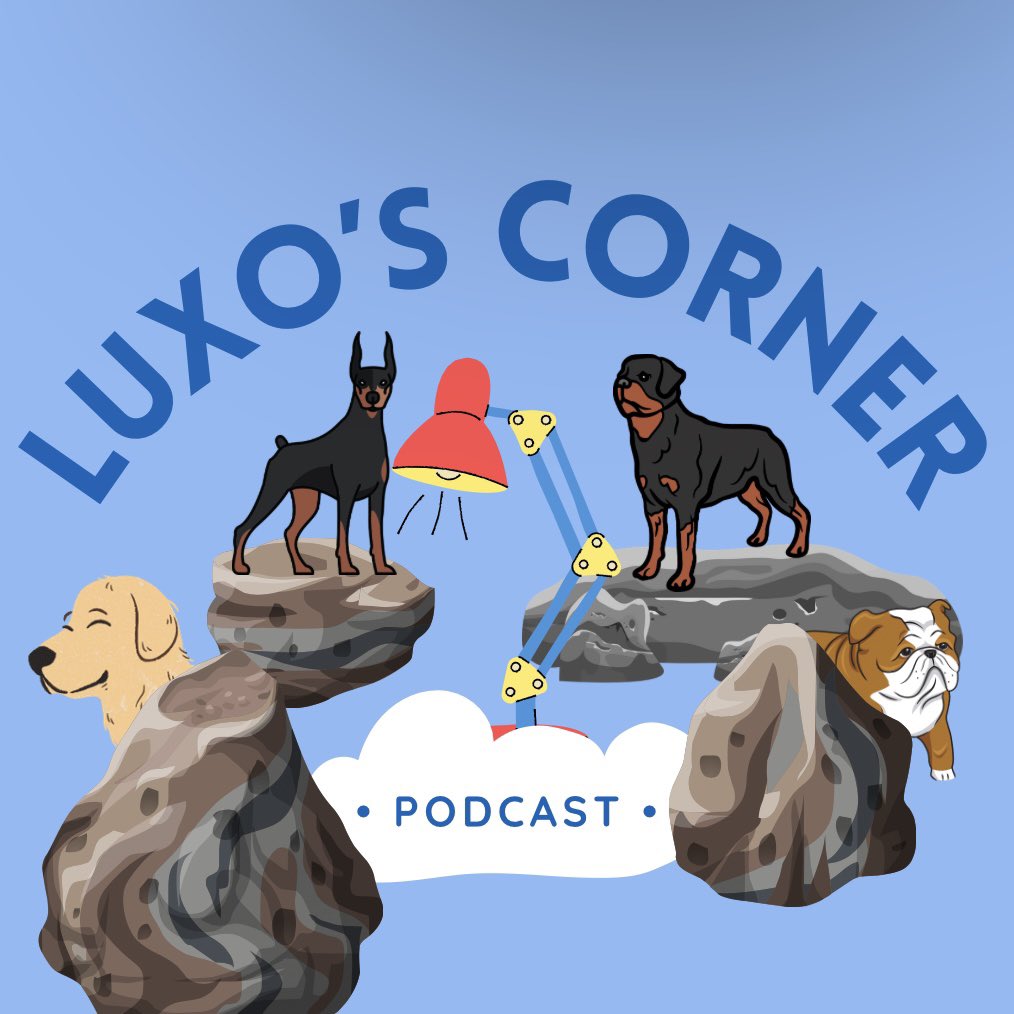 luxoscorner's tweet photo. We are back and we are talking about Dug and his special mission! https://t.co/KVCdWjqZgu