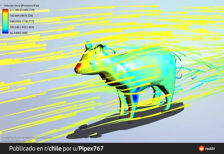 ssuudp's tweet photo. Aerodinámica de un Pudú https://t.co/NXz3QfHnwW