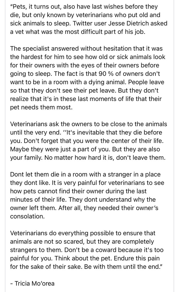 rick mora (@nativerickmora) on Twitter photo 