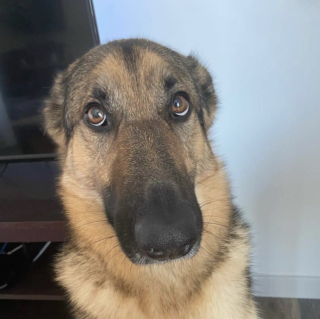 RichoCaldwell tweet media