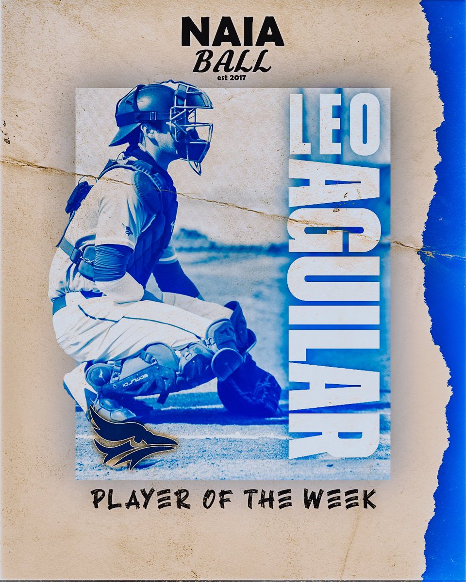 NAIABall's tweet photo. The NAIA Ball Player of the Week is Tabor (Kan.) catcher Leo Aguilar 

Aguilar finished the week with NINE HOME RUNS! He recorded four multi-home run games in six days against three different teams. He also caught every game behind the plate 🔥

Week: 17-27, 10 R, 9 HR, 18 RBI https://t.co/3HVuWjGBO2