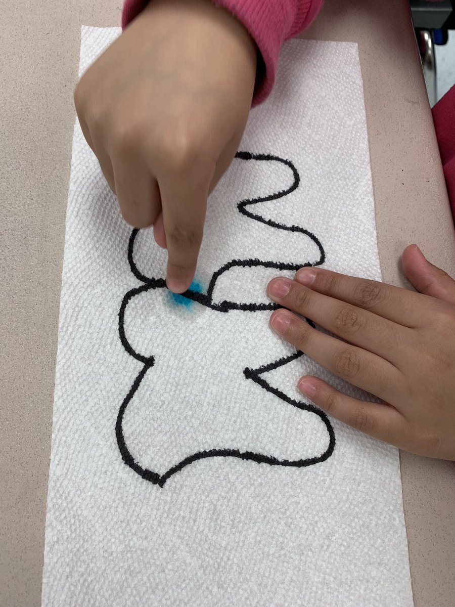 Serone_Students's tweet photo. We had an amazing experience with @DentistryNova! We learned about foods that are good for our teeth, how to take care of our teeth, had a cavity experiment and saw tools dentists use. Sorts, stories, experiments and songs! #learningisfun @SugarlandES https://t.co/S3FYJkD1BO