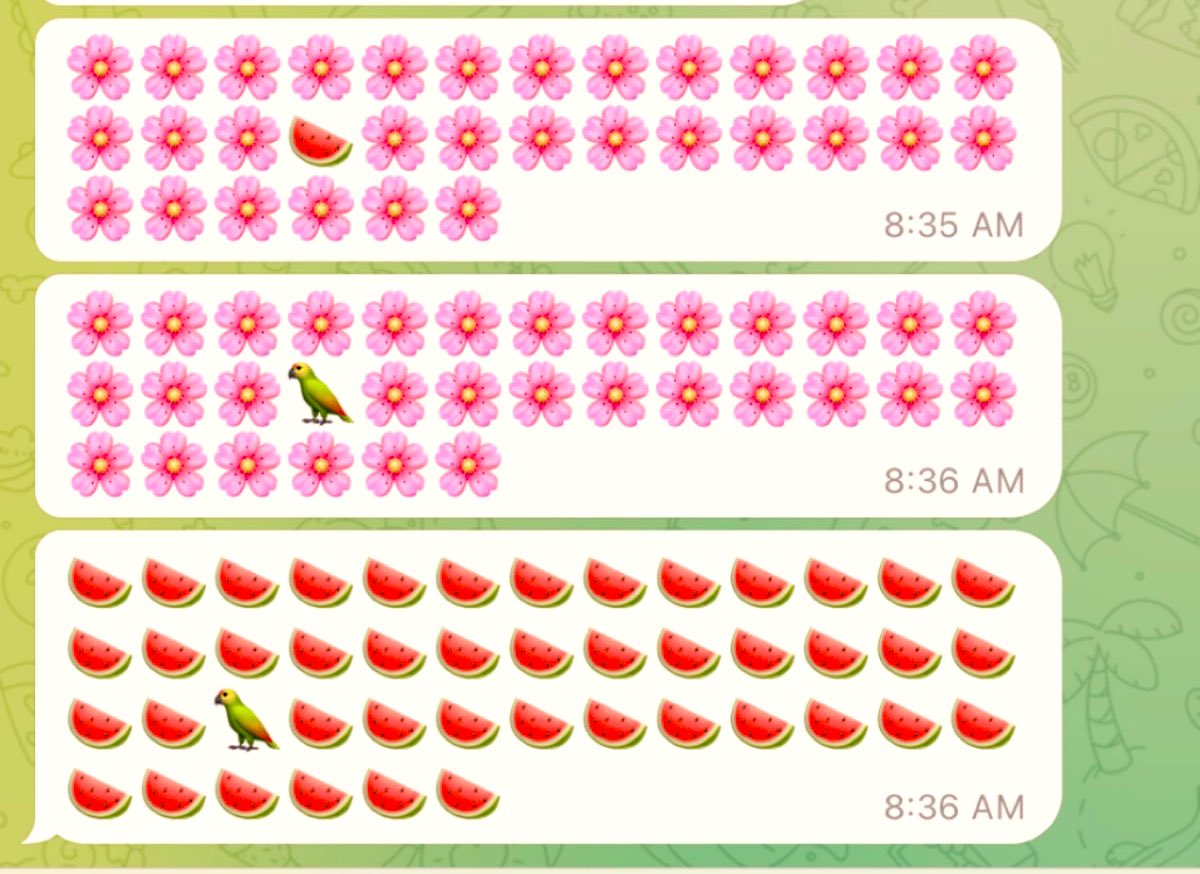 deotravas's tweet photo. 🍉🍉🍉🦜🍉🍉🍉 https://t.co/14ENHGJeMw