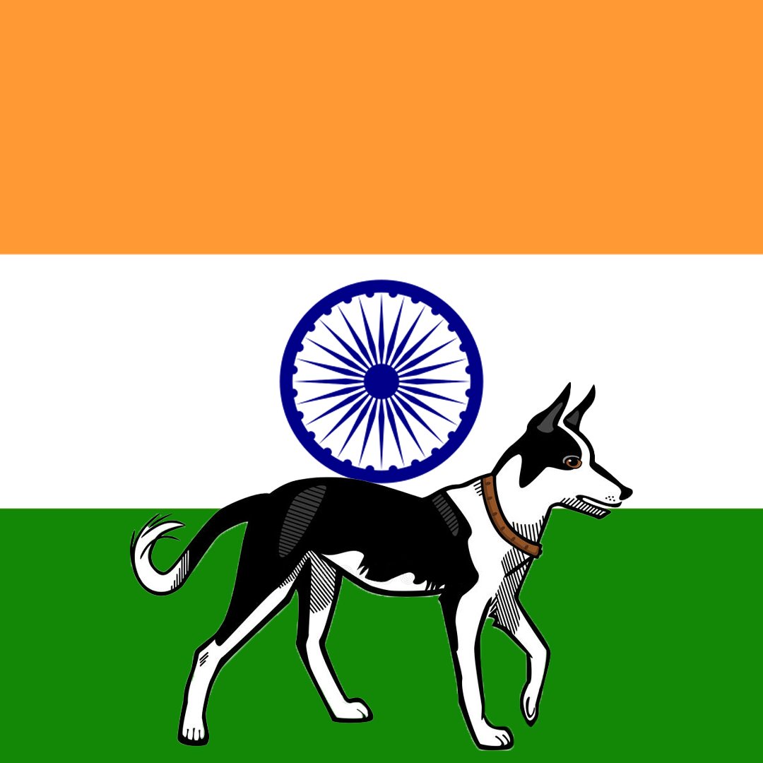 cryptodognation tweet media