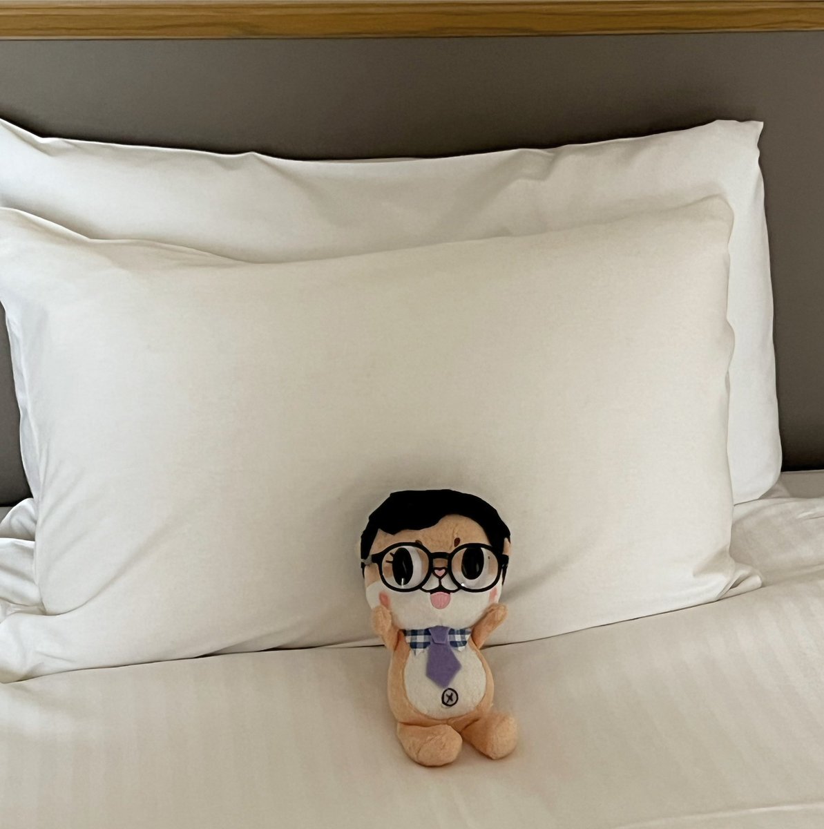 chiijohntravels's tweet photo. Hi friends! Guess what!! In 2 weeks I’ll be visiting SUSAKI!!!! I am very excited! I really hope to meet my good friend @susaki_city_PR ! Let’s see what happens! 💕#LastWeekTonight #Chiijohn https://t.co/zJPd707JZY