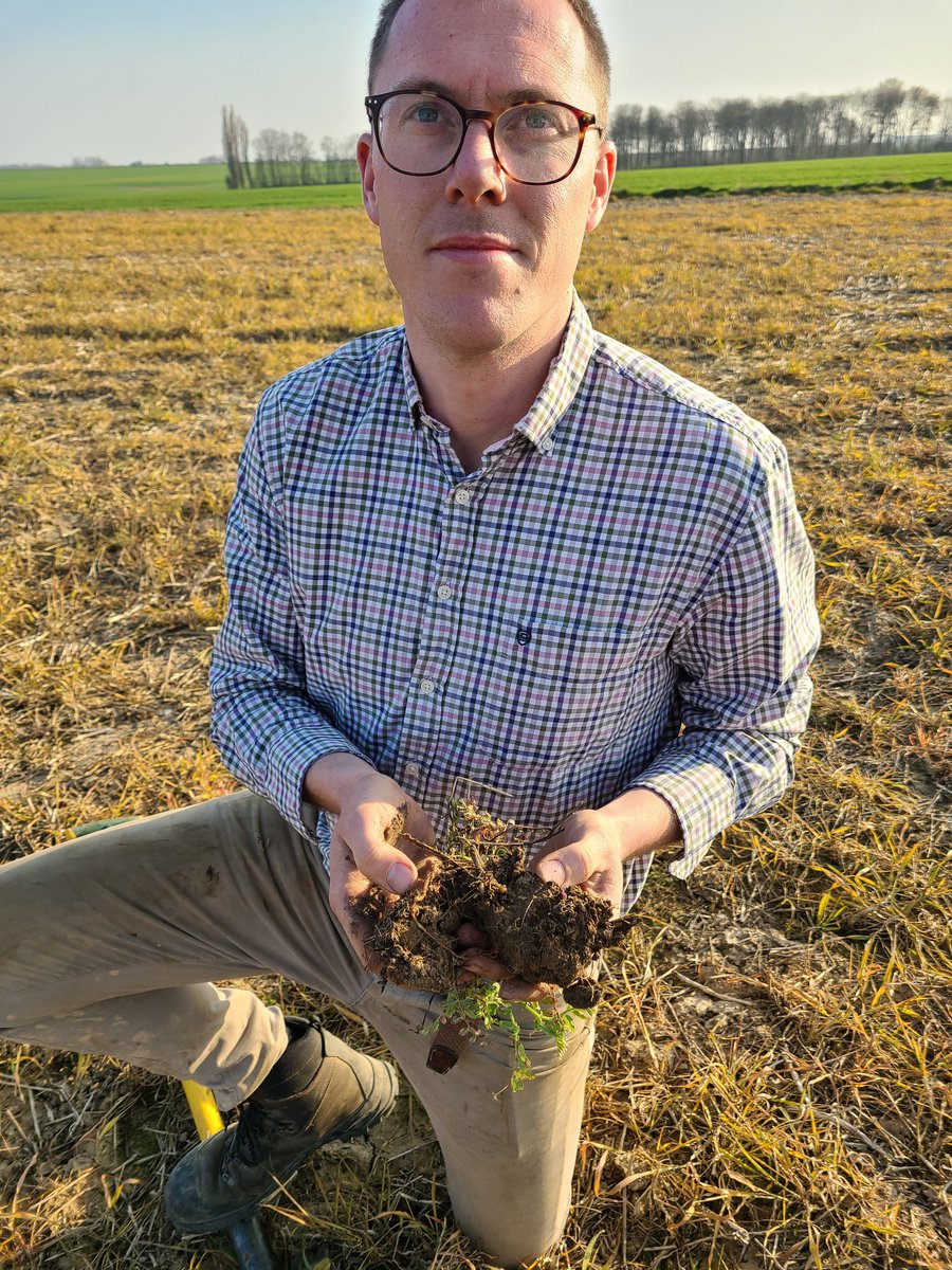In the north of France with an old student/friend Charles. Sugar beets are going in, winter canola is bolting. Winter wheat trial looking good and checking out soil and nodules from legume/oat cover crop. <a href="/FarmingSmarter/">Farming Smarter</a> <a href="/NuffieldCanada/">Nuffield Canada</a> <a href="/NuffieldFrance/">Nuffield France</a> @AlbertaWheat