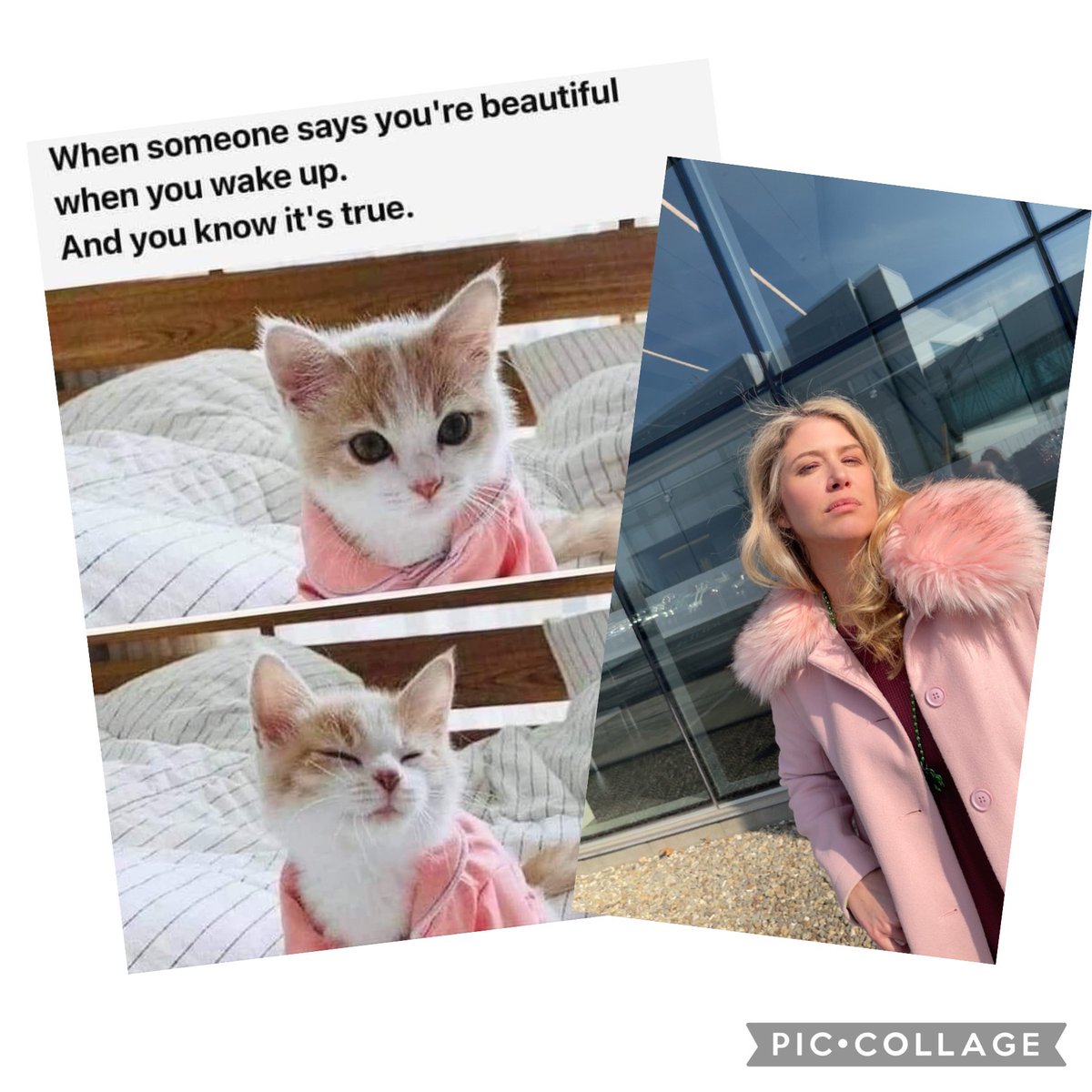 MeredithMcNeil's tweet photo. 🤣 @emkats31 https://t.co/fufEaftsv0
