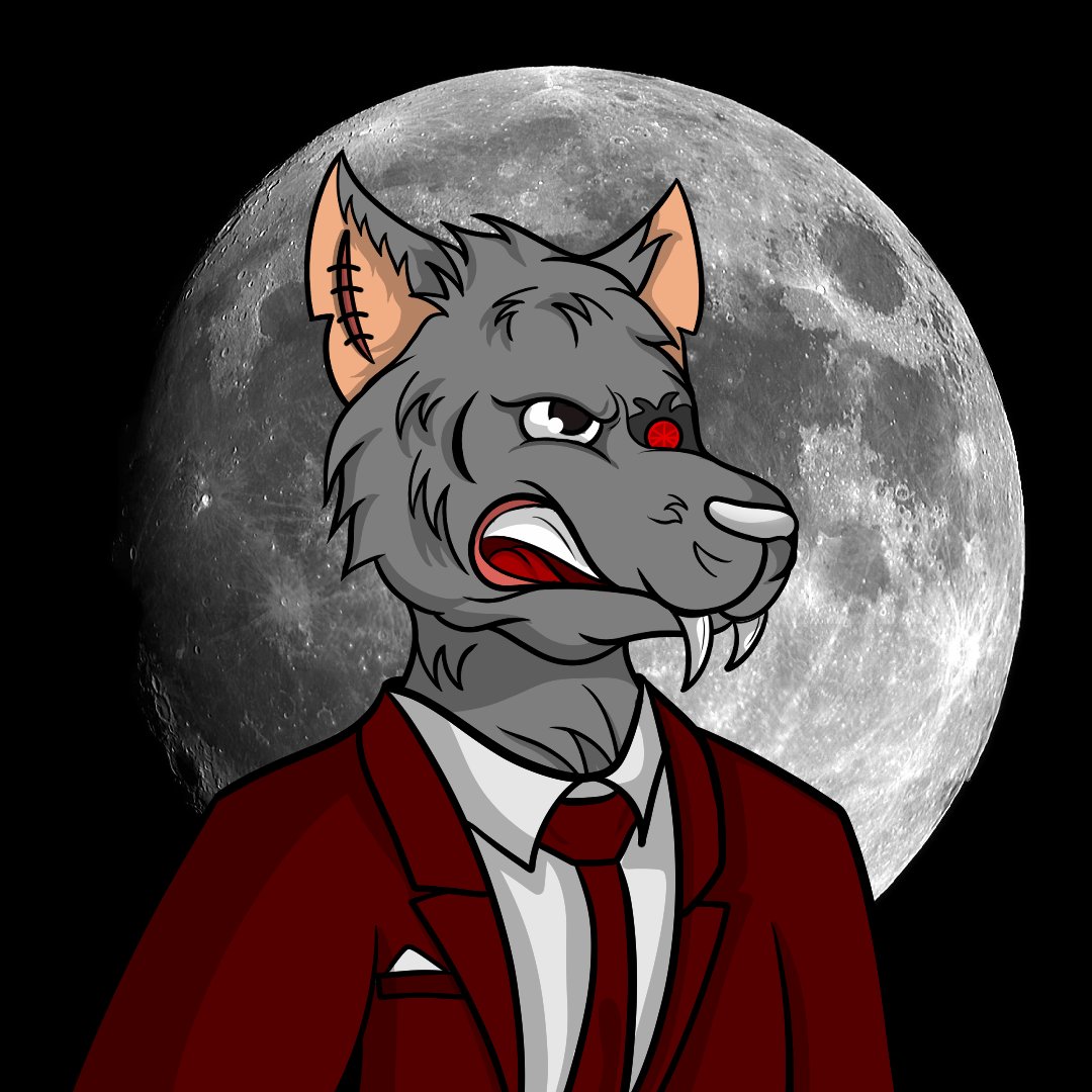 A message from Our CEO 💼💪

"It is now the time to mint some Werewolves. We need our pack to be strong; together"!

Our CEO has spoken! Mint here!
🐺🐺🐺
thecyborgwerewolvesmint.com

-
#NFT #NFTCommunity #PolygonNFT #TheCyborgWolves