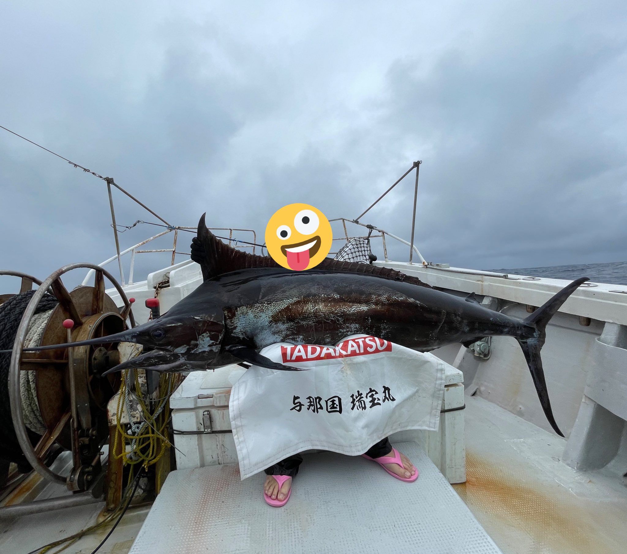 たなかなつを ブルーマーリン和名クロカワカジキ 日本では生きている時の色で黒 海外では死ぬ時の色でブルー というんです 釣り人しか見えない真っ青な青 T Co Comeojikfp Twitter