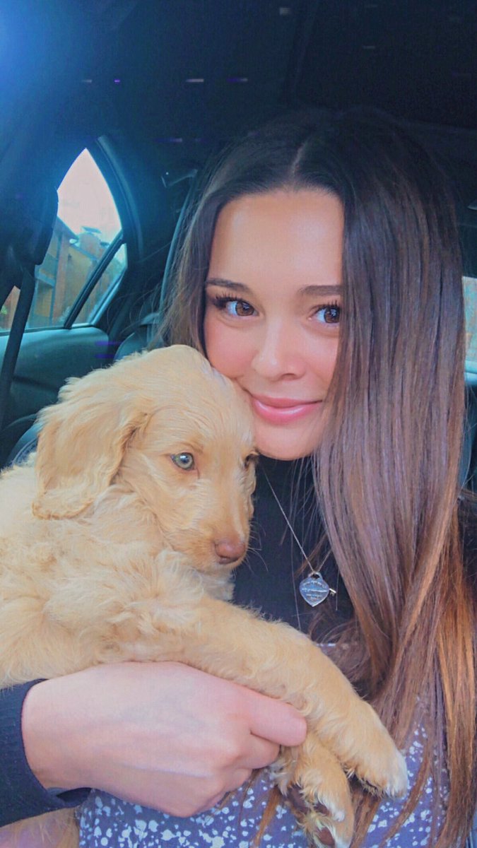 whitneyy_19's tweet photo. hi twitter. meet the most precious pup in the world. we love our tide.🥰🐾 https://t.co/vZXFpA5gAy